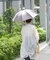 『WEB限定』CINQ　晴雨兼用折りたたみ傘