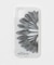 Karl Blossfeldt　iphone11／XR