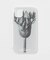 Karl Blossfeldt　iphone11／XR