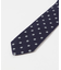 LIFE STYLE TAILOR　25AW国内タイ小紋1
