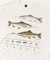 LIBERTY GRAPHICS　Trout & Flies