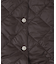 TAION　VNECK LONG DOWN GILET
