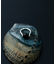 SMELLY so’　onyx sphere ring