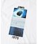 『別注』SENSE OF PLACE×JAWS　プリントT-SHIRTS／A