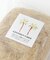 FARM　ココナッツファイバー 50g