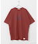 『別注』Jurassic World×SENSE OF PLACE　T-SHIRTS／B