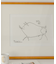 Picasso／Le petit cochon