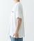 MARMOT CAPITAL　SATELLITE SS