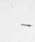 MARMOT CAPITAL　SATELLITE SS