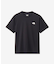 THE NORTH FACE　Seven Summit Graphic T-shirts