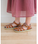 Salt Water Sandals　SS Shark(KIDS)