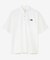 THE NORTH FACE　SHORT-SLEEVE FD COTTON POLO