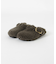 BOSTON BIG BUCKLE TEDDY