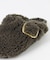 BOSTON BIG BUCKLE TEDDY