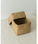 『WEB限定』サイアム　カチュー水草ふた付き四角BOX M