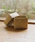 『WEB限定』サイアム　カチュー水草ふた付き四角BOX M