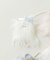 『WEB／一部店舗限定』NEONMOON　White Dusty