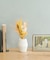 BLOMSTER　Flower GiftSet