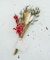 BLOMSTER　Flower GiftSet