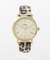 TIMEX　ELEVATED CLASSICS