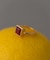 SMELLY so’　square carnelian ring