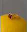 SMELLY so’　square carnelian ring