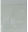 『WEB限定』Trendglas JENA　プレート M
