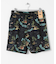 QUIKSILVER　EVERYDAY STRAIGHT VL 19