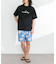 QUIKSILVER　EVERYDAY STRAIGHT VL 19