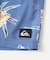 QUIKSILVER　EVERYDAY STRAIGHT VL 19