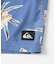 QUIKSILVER　EVERYDAY STRAIGHT VL 19