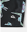 QUIKSILVER　EVERYDAY STRAIGHT VL 19