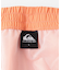 QUIKSILVER　EVERYDAY SOLID VOLLEY 19