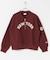 Champion　REVERSEWEAVE HALFZIPSWEAT