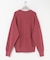 『別注』CHAMPION×URBAN RESEARCH　SNOW POWDER WASH CREW-NECK