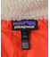 patagonia　Ms Classic Retro-X Vest