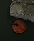 SMELLY so’　carnelian cord necklace
