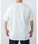 BROOKS BROTHERS　KNT TONAL GF T-SHIRTS