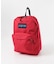 JanSport　SUPERBREAK(KIDS)