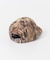 GANNI　PRINT CANVAS CAP