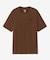 THE NORTH FACE　SHORT-SLEEVE DOGSLED GRAPHIC T-SHIRTS