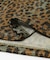 MAGIC NUMBER　MESH LEOPARD T-SHIRTS