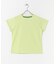 LACOSTE　コンパクトブランドネームロゴTシャツ