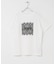 レースロゴTシャツ