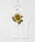 LIBERTY GRAPHICS　GRAPHIC T-SHIRTS