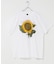 LIBERTY GRAPHICS　GRAPHIC T-SHIRTS