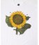 LIBERTY GRAPHICS　GRAPHIC T-SHIRTS