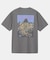 THE NORTH FACE　SHORT-SLEEVE MOUNTAIN FLOWER T-SHIRTS