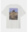 THE NORTH FACE　SHORT-SLEEVE MOUNTAIN FLOWER T-SHIRTS