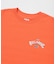 BILLABONG　MESSAGE ARCH LOOSE T-SHIRTS